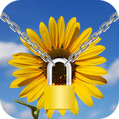 Photo & Video Locker